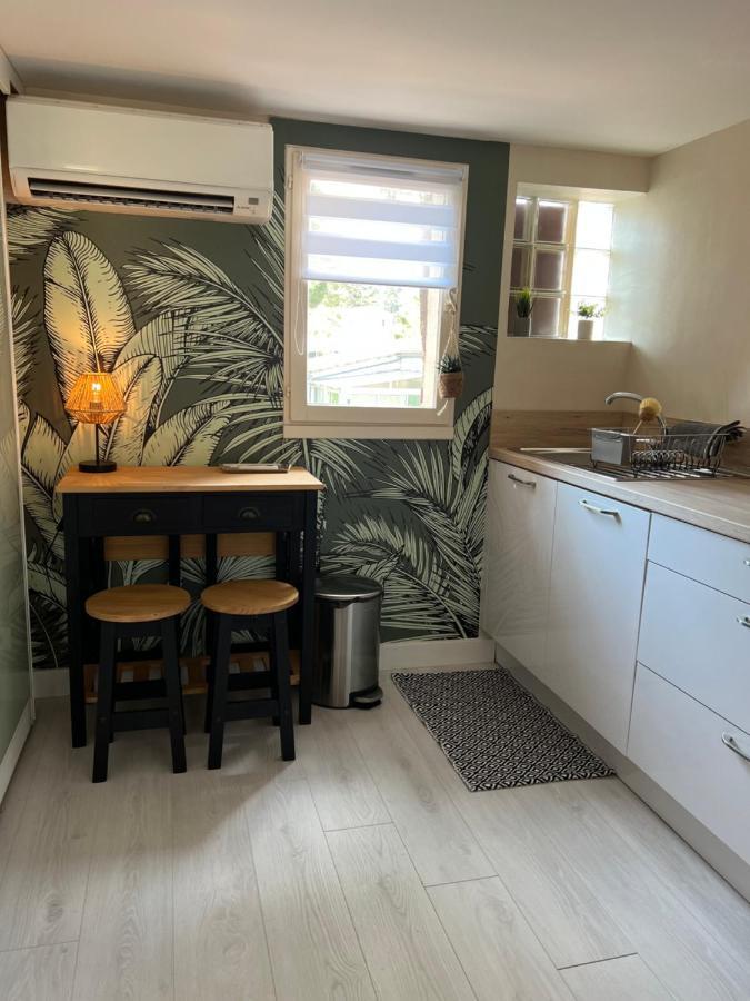 Appartement Proche Village Naturiste, Terrasse Et Parking Agde Exterior foto